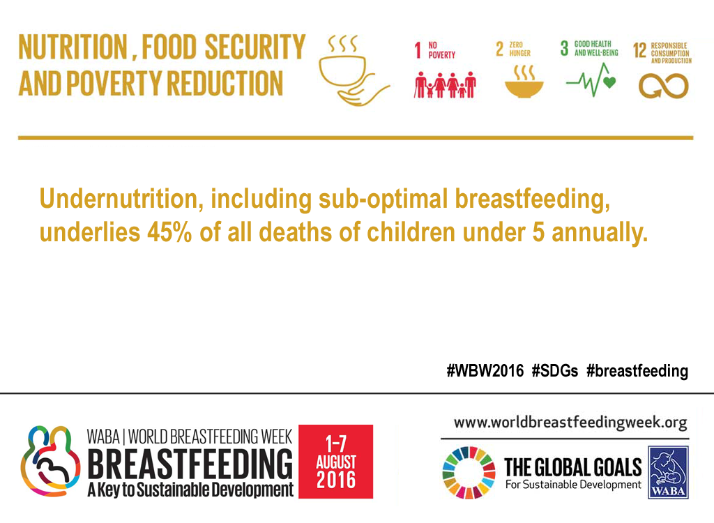 Theme 1: Nutrition, Food Security and Poverty Reduction