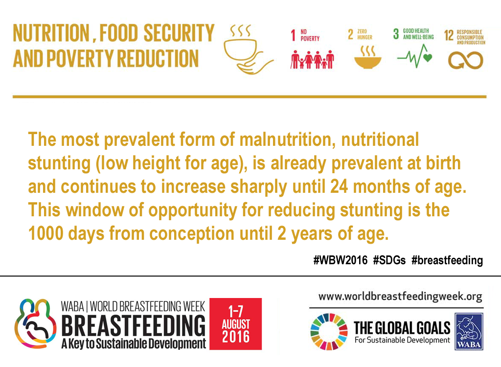 Theme 1: Nutrition, Food Security and Poverty Reduction