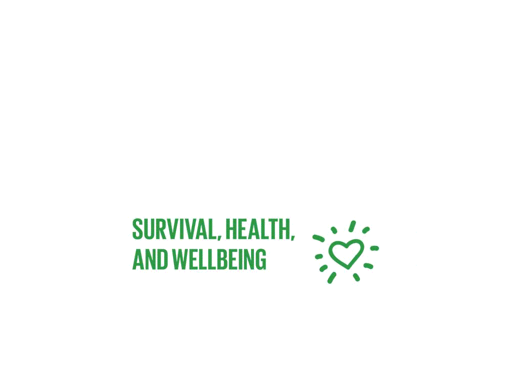 Theme 2: Survival, Health and Wellbeing