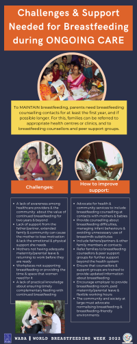 Challenges _ support needed for breastfeeding during ongoing care