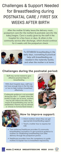 Challenges _ support needed for breastfeeding during postnatal care